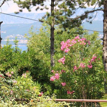 Apartments Grskovic G. Jesenovica Šilo Esterno foto